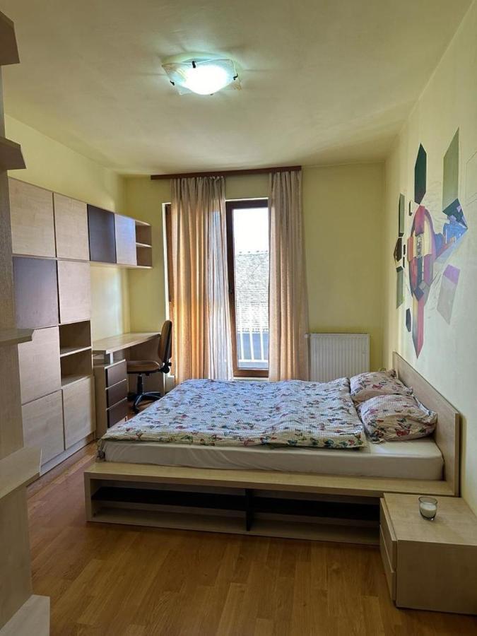 Central Apartment No1 Timisoara Exterior photo